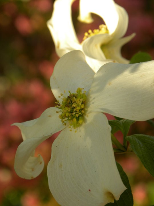 DrakeRealty's tweet image. Drake Realty 30 Years of Excellence and Support conta.cc/2QXrQOP