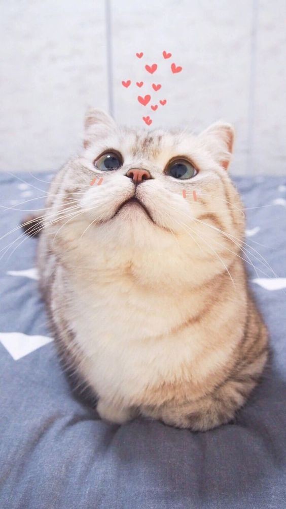 ขิงคุณแด๊ดของหนู🌻 tweet media