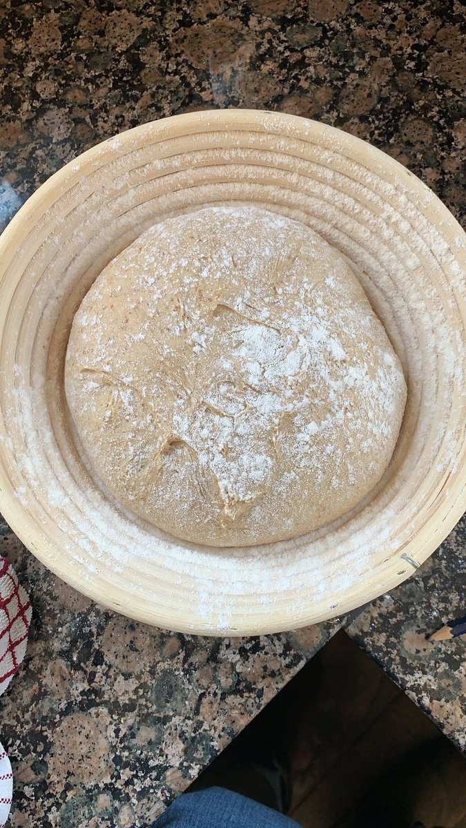 GingerbreadBake's tweet image. #readbread.