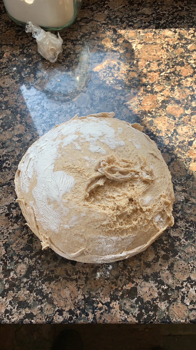 GingerbreadBake's tweet image. #readbread.