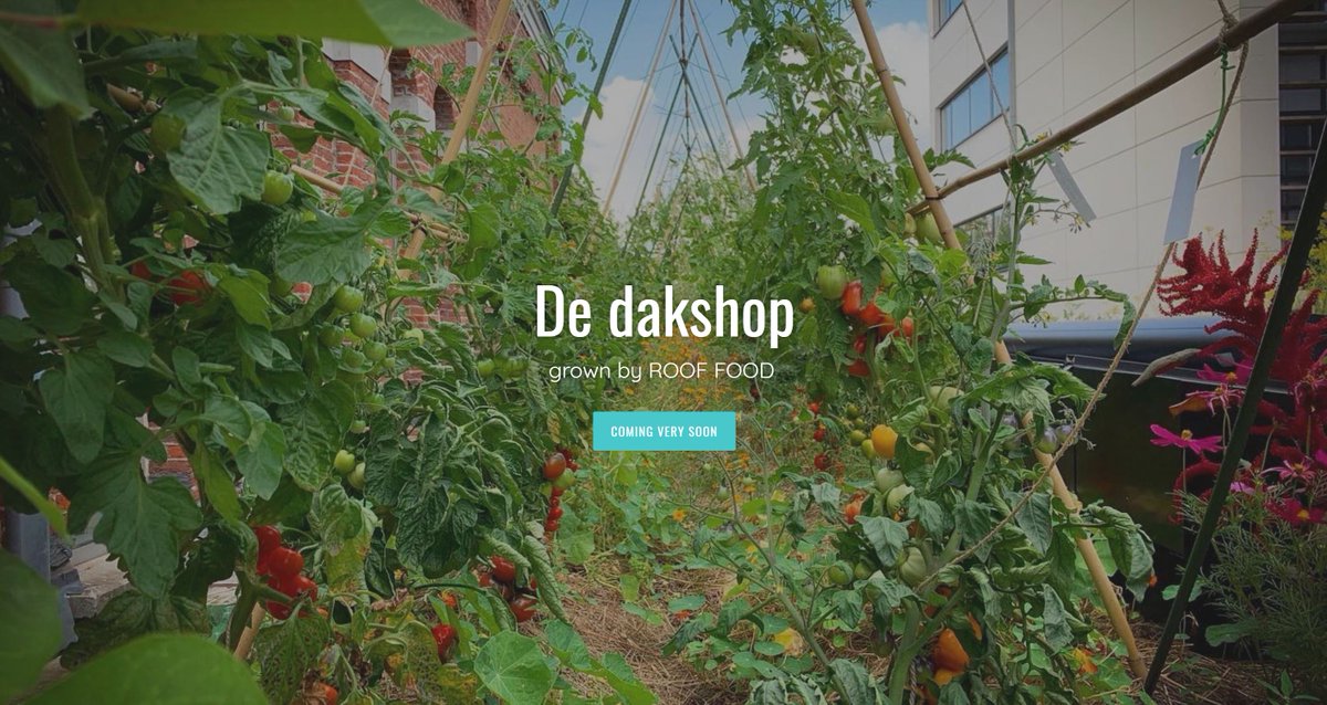 RESERVEER EEN PLEKJE IN JE TUIN OF OP HET TERRAS, WIJ HEBBEN WILDE PLANNEN!

Mevrouw corona gooit roet in onze kookpotten.

Maar wij laten het hoofd niet hangen. Sterker nog, wij hebben wilde plannen!

Meer nieuws volgend weekend! #rooffood #coronaproof #dakshop