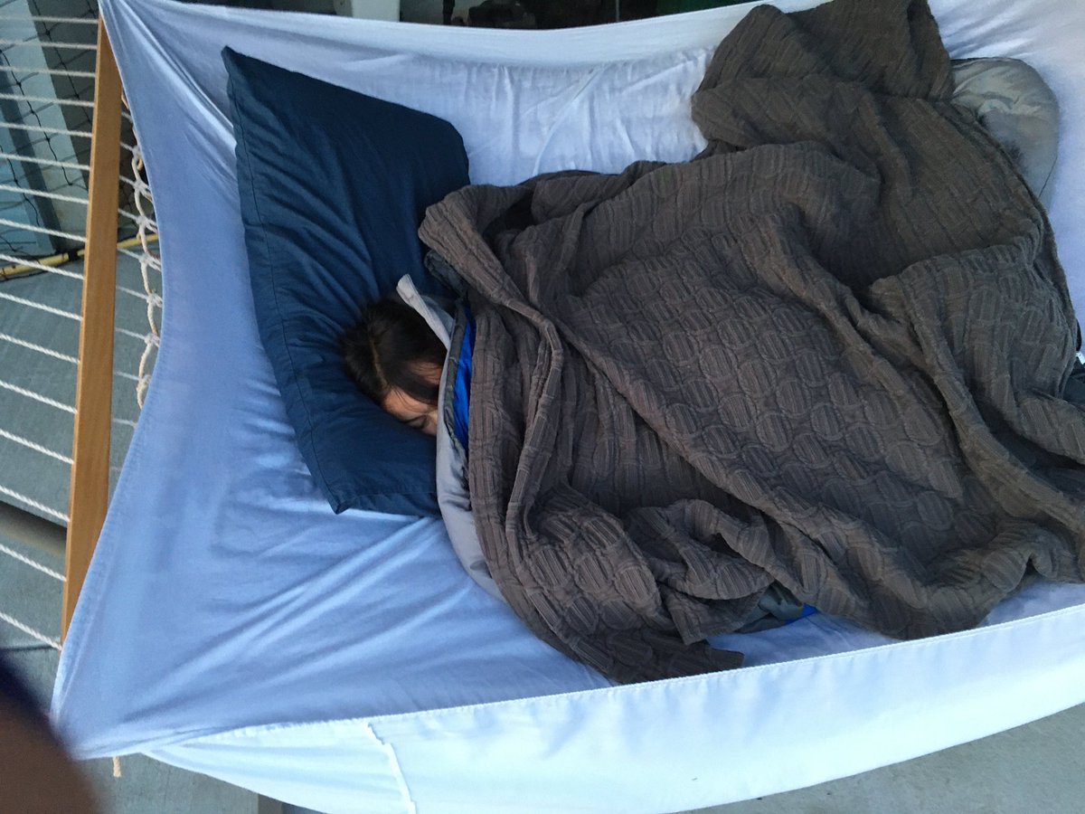 JodyBugsMeUNL's tweet photo. Ended at 2am with just 2 orders: Diptera &amp; Lepidoptera. Pest  control skills came in handy as I saw &amp; caught a mouse that crawled out of retaining wall. My assistant passed out in the hammock around midnight &amp; after 3, I got so cold, I just left her out there #bugsinyourbackyard https://t.co/XTAiVwBUYk