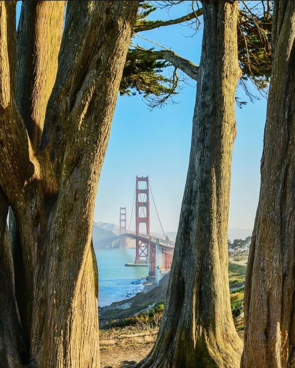 Hotel Zetta tweet media