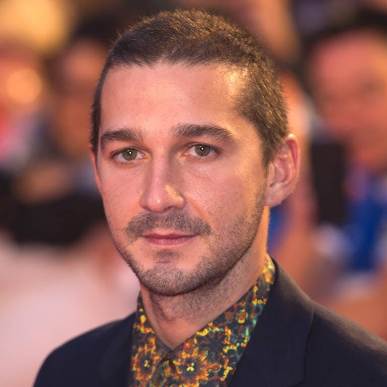 Shia LaBeouf was set to star as Oliver in Call Me By Your Name but was dropped by the studio due to his legal and personal troubles at the time. The role ultimately went to Armie Hammer.