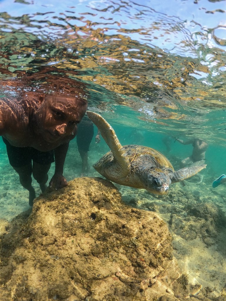 rachiitha's tweet photo. All life on Earth is connected to the ocean and its inhabitants. The more you learn about the issues facing this vital system, the more you ll want to help ensure its health - #ThrowbackWeekend #srilanka #turtlechannel #turtles https://t.co/ocQ2DCjvcJ