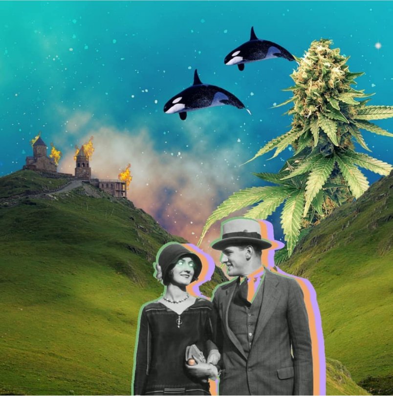 thmsmusic's tweet photo. art digital,
19 de junho, 2019
#artdigital #collageart #collage https://t.co/0zKXctAKp8