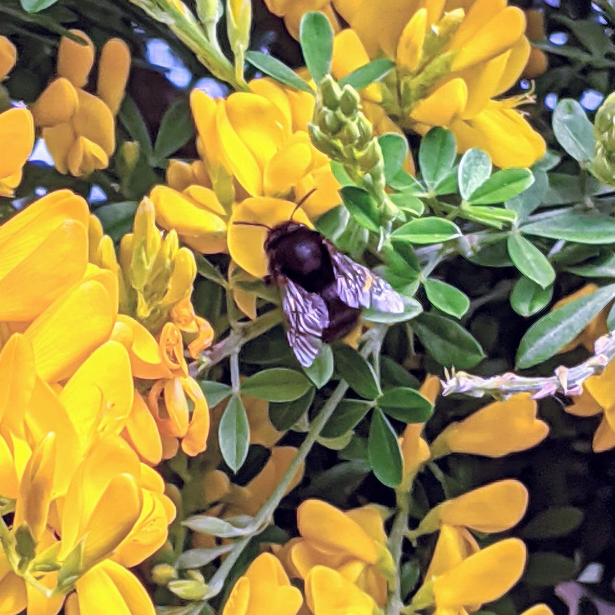 Lisa Benton tweet media