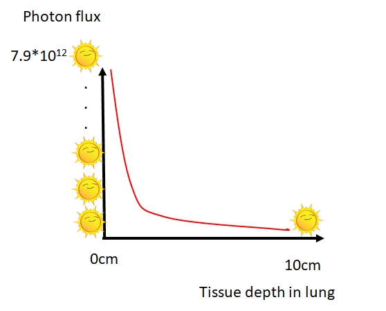 If you still think you can blast the virus out of your lungs with light: you may not die of cancer doing it!But you need the input of ~79 tera (a number with 12 zeroes) suns to make it shine at 10 cm depth in a lung, which will very likely make this your last sun bath...