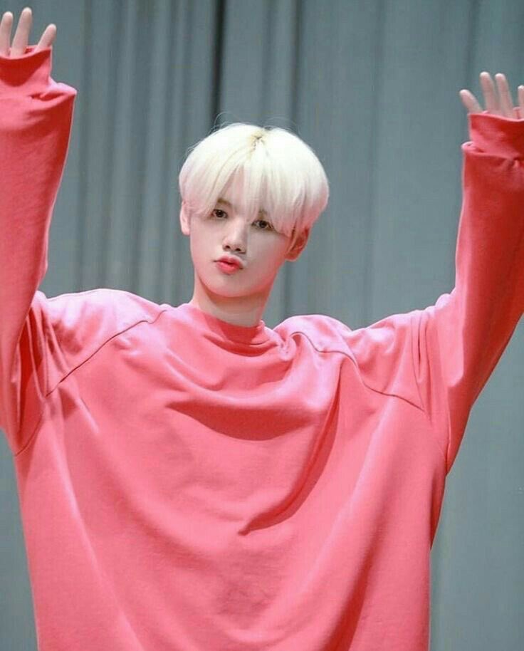 PINK MINI