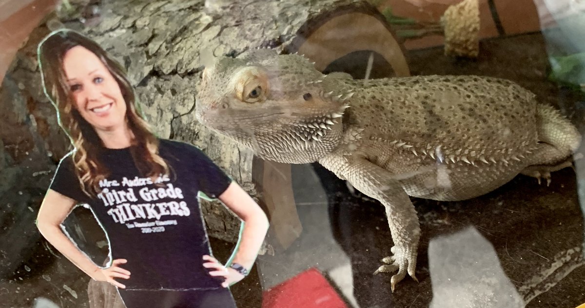 Shannonteaches's tweet photo. I may be having a little too much fun with these cut-outs I'm sending my students for some story writing fun! I can't wait to see what adventures I have in their homes!✏️
#GoTheExtraSmile #tlap @WeAreTeachers #Teachwrite https://t.co/zYXMD2y57s