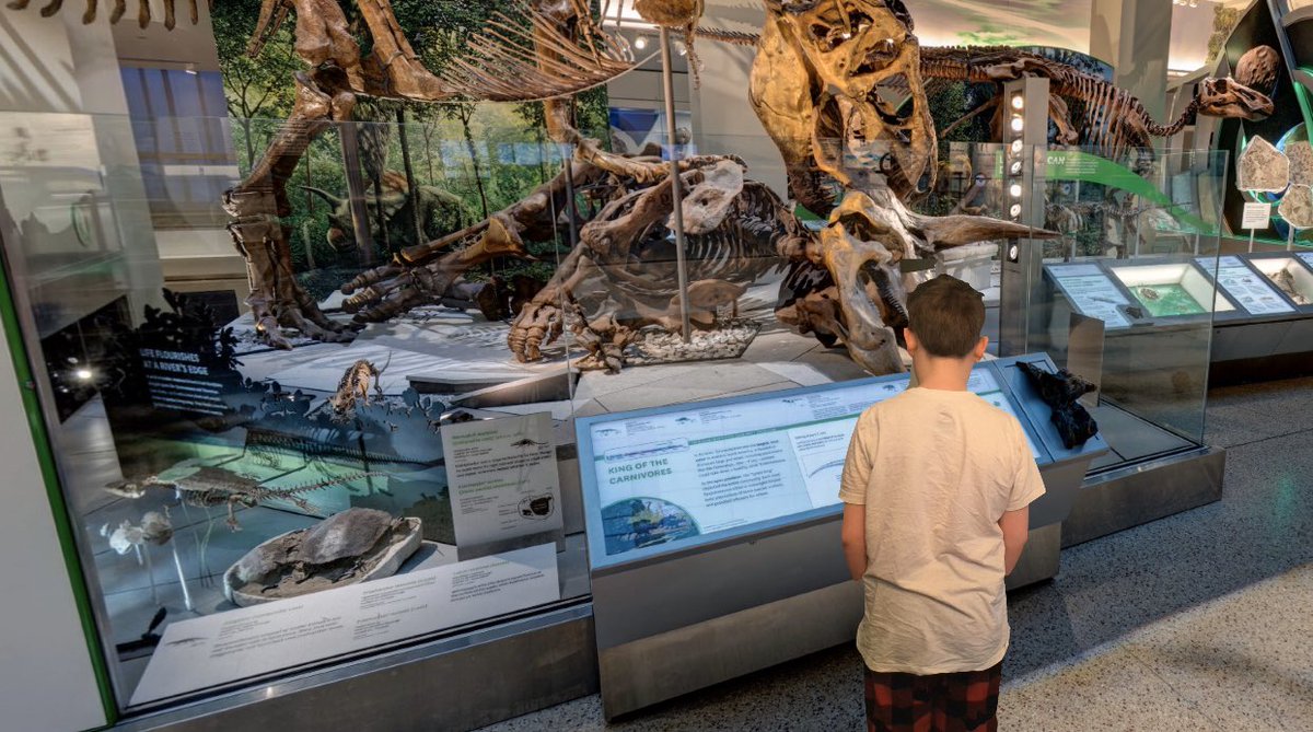 MrAReiche's tweet image. The best of virtual learning this week comes courtesy of the Smithsonian Museum of Natural History. We were able to explore the virtual exhibits and then use Keynote to share an image of us as if we were really there examining artifacts and reflect on our trip. #Teach4Me