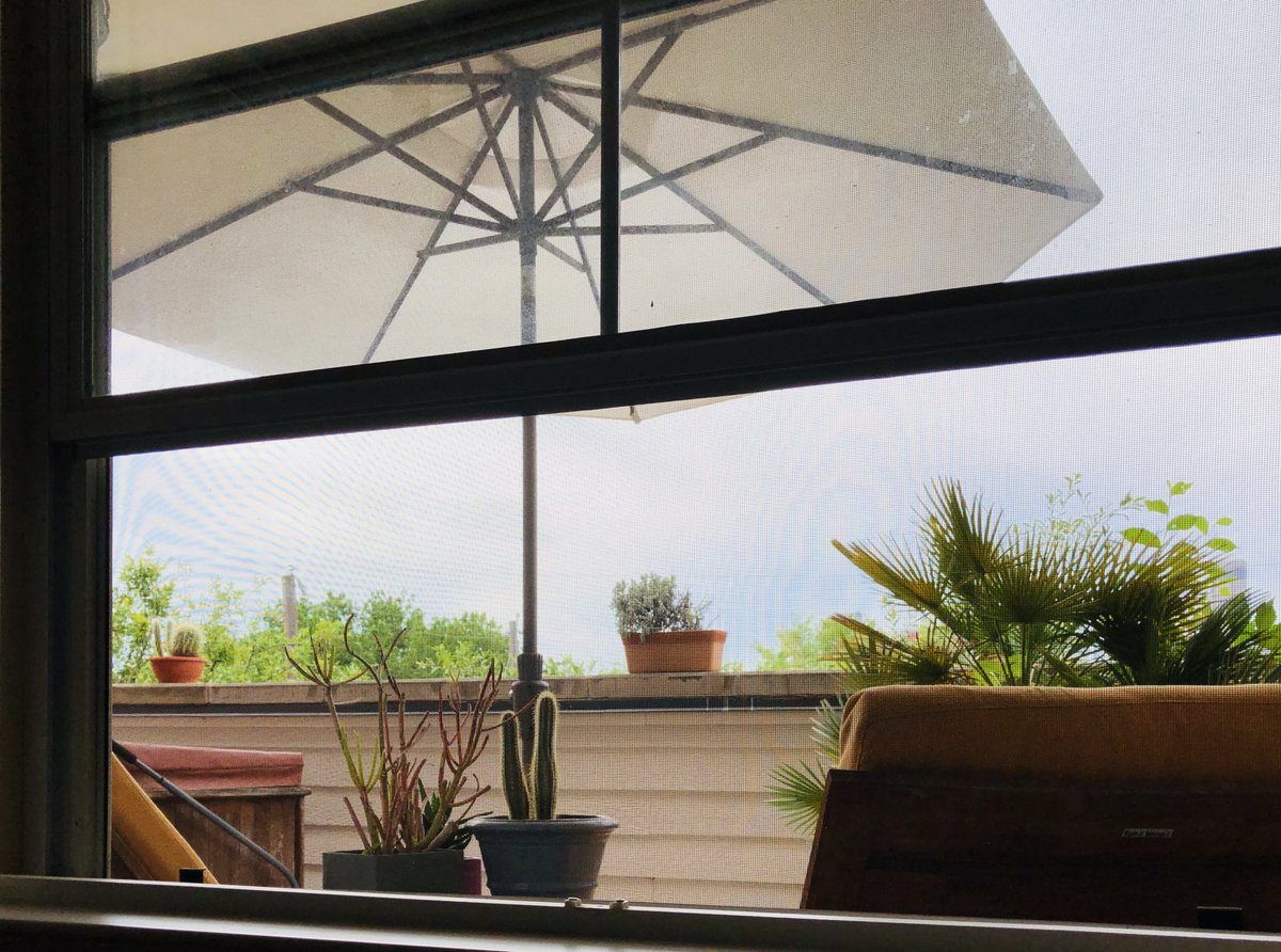 tvbossy's tweet photo. Window open.
Who would have thought the sound of a leaf blower could be so comforting ! #outsidesounds https://t.co/v2plU7mIcJ