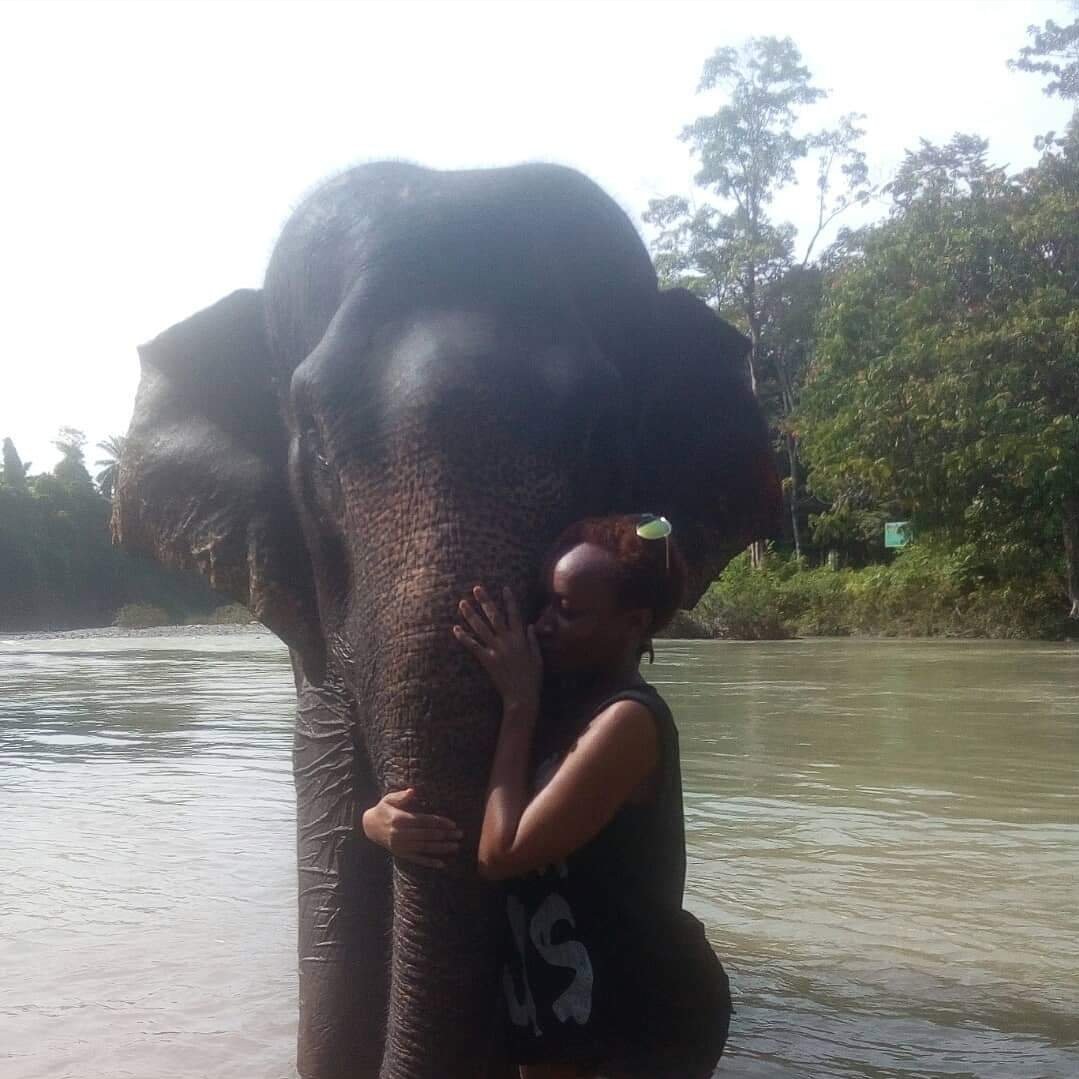 19. Another one from  #NorthSumatra. For my forever love of elephants, I went to  #Tangkahan. I'm also forever conflicted about this visit (I'll tell this story someday), but so grateful that I showed these ellies so much love.