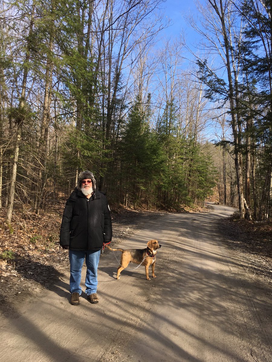 markwgreenMF's tweet photo. Out for a walk in the woods this morning https://t.co/4LejSc8ot8
