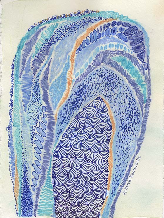 SylvieKant's tweet photo. The Life Within.
#innerlife #mountainseries #fromthedrawingtable https://t.co/i2qF4TnGPr