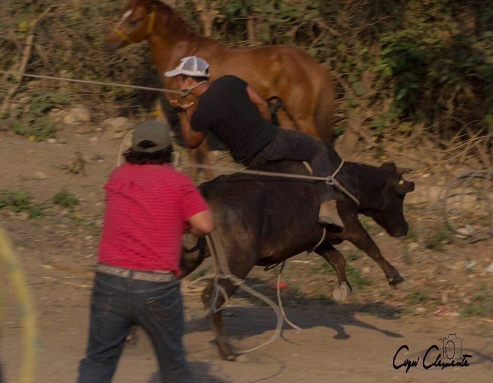 PrietaPantera's tweet photo. -!!Agarra al de los cuernos!!

-yo agarrando a mi compa... https://t.co/X8eJ5HfBUZ