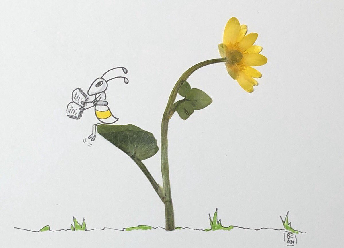 wirbelkoepfe's tweet photo. Lesestunde
#kleineKunstklasse #ants #a_pril https://t.co/jfFidUMqcM