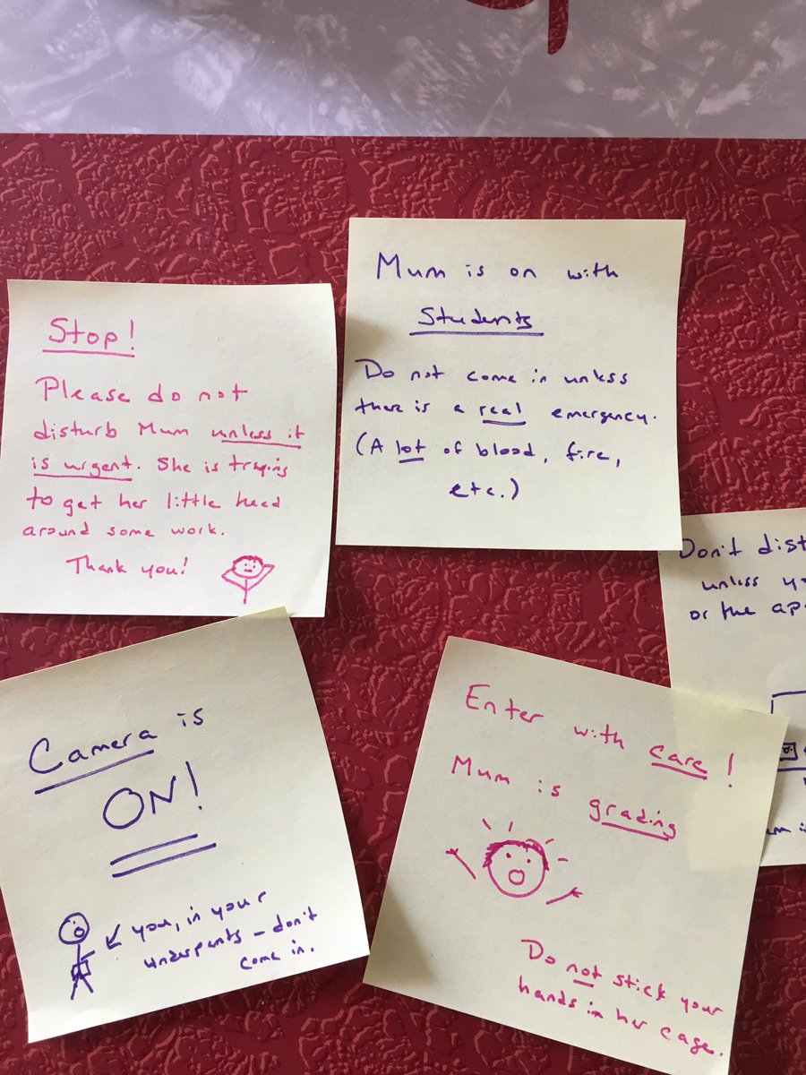 Phebe Kirkham tweet media