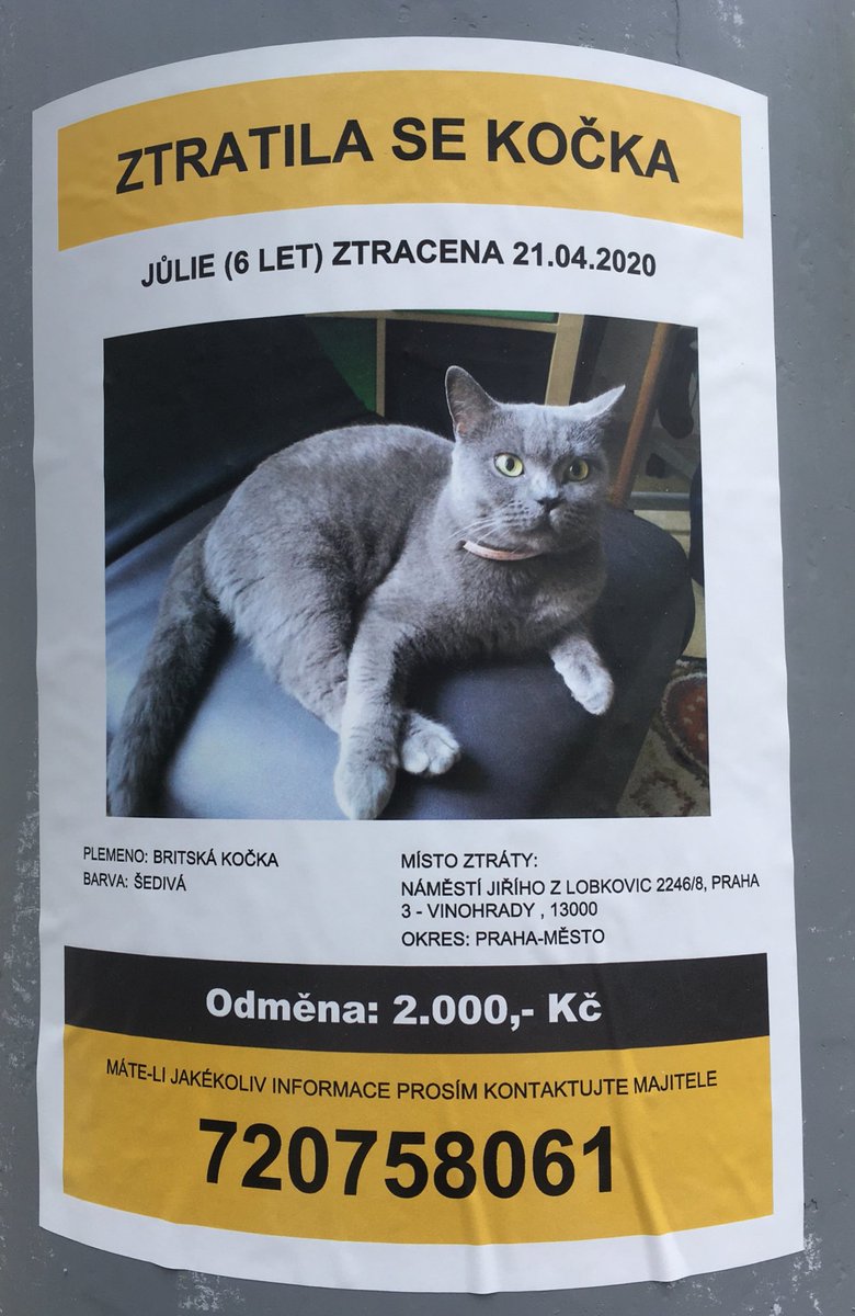 OliKockova's tweet image. Jůlinka v nesnázích!

Děkuji za RT ♥️