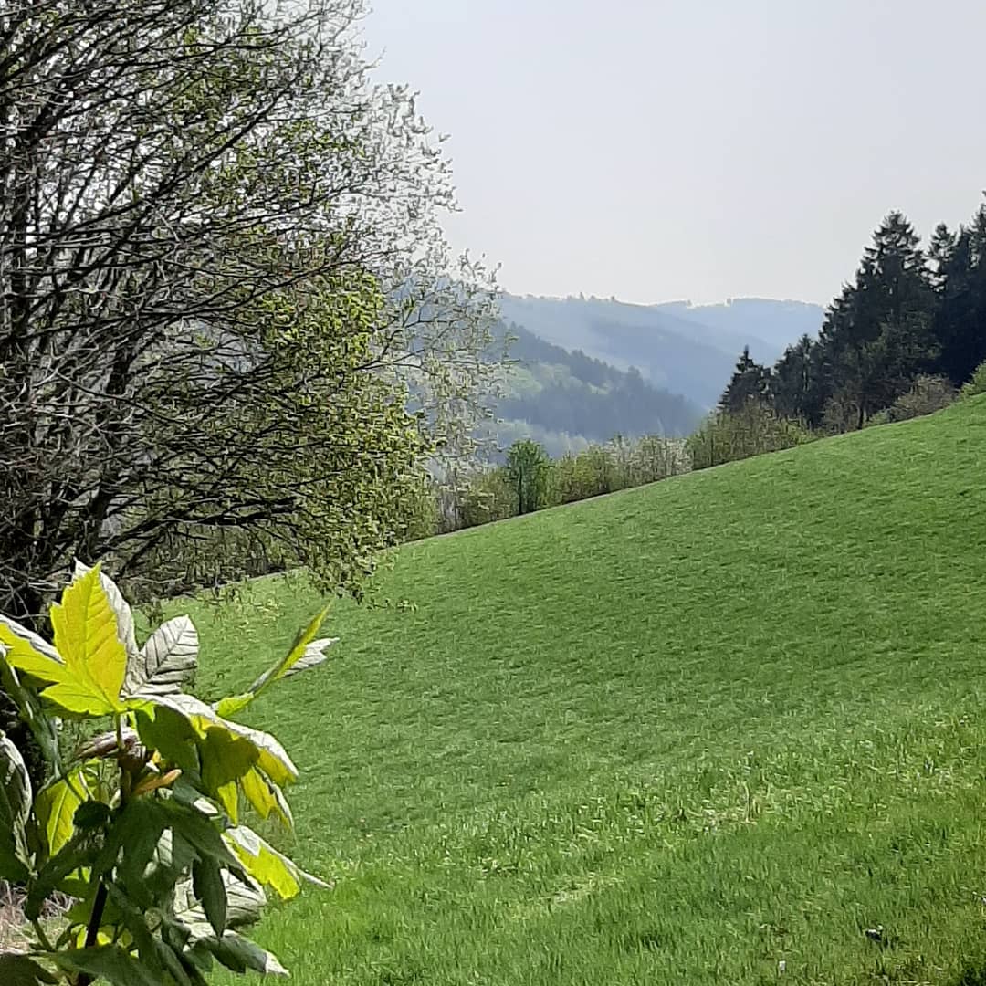 HausAmBergHSK's tweet photo. Auf Spurenentdeckung des Bergbaus im Valmetal ⚒
Der Bergbau-Wanderweg in Bestwig-Ramsbeck hat eine
Strecke von ca. 10 km und
führt vorbei an Bergbaurelikten
und ehemaligen Grubenbetrieben.
#ramsbeck #valmetal #glückauf #bergbauwanderweg #rothaargebirge #venetianerstollen https://t.co/GaxeoLuex4