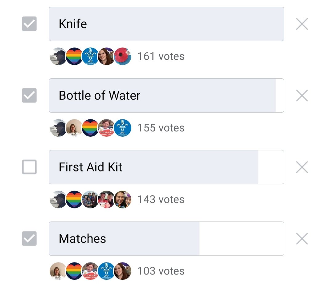 RosythScouts's tweet image. #Homeboree2020 has voted the following four items as the most important. Do you agree?