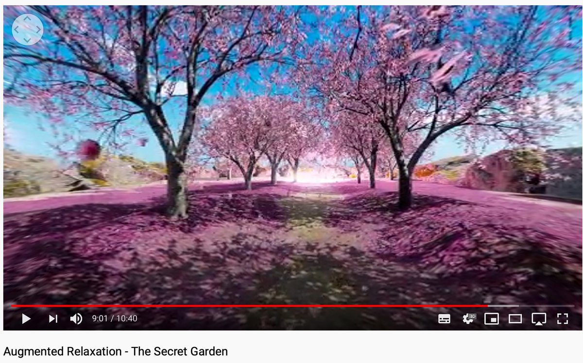 covidfeelgood.com a #selfhelp #virtualreality #vr protocol that can be experienced with a smartphone, helping you to cope with the psychological burden of #Coronavirus #coronavirusitalIa #coronavirusitalianews #Covid19 #Covid19usa