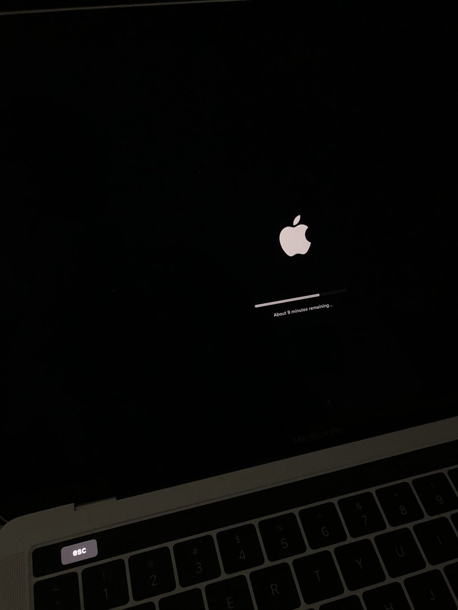 Install updates (if any) or Reboot your Mac