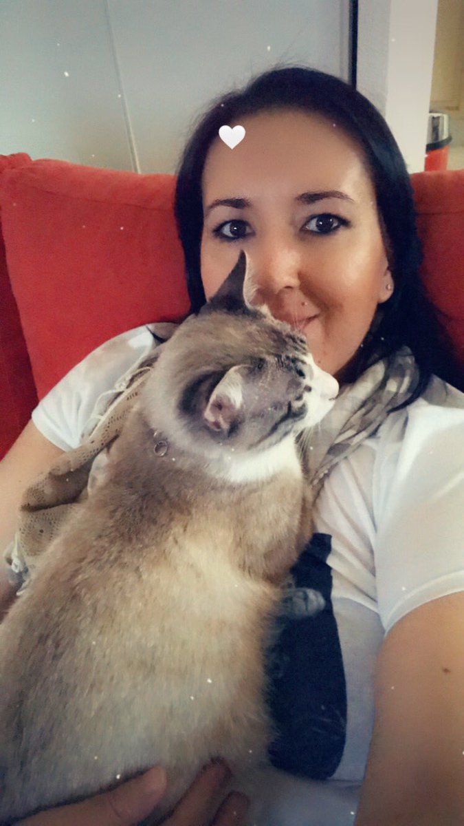 Mariloune's tweet photo. Dixon is doing good too... just saying 😝♥️
#LazyAfternoon #Saturday #CuddlesTime
Have a good day everyone 😘 https://t.co/SdkUc6CtiV