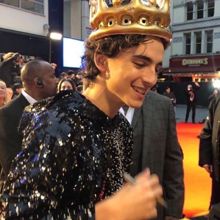 timothée chalamet as hedgehogs : a short thread 