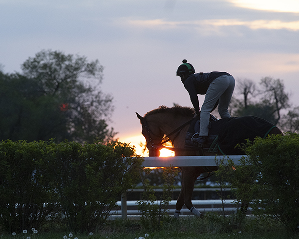 BH_AEberhardt's tweet photo. The beauty of @keeneland and spring training included works for #MonomoyGirl (outside) + #Owendale in company for @bradcoxracing (5f 59.80) and #Maxfield and #SeekthePeak for @brenpwalsh (5f in 1:00.40). @keenelandracing https://t.co/oChjCNLsR3