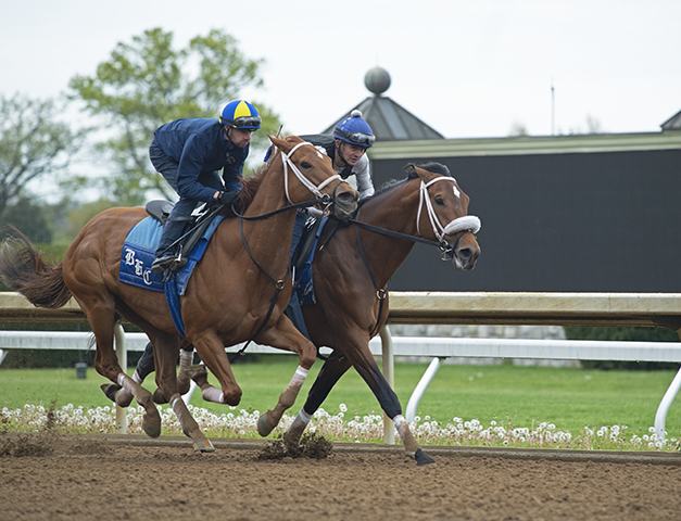BH_AEberhardt's tweet photo. The beauty of @keeneland and spring training included works for #MonomoyGirl (outside) + #Owendale in company for @bradcoxracing (5f 59.80) and #Maxfield and #SeekthePeak for @brenpwalsh (5f in 1:00.40). @keenelandracing https://t.co/oChjCNLsR3
