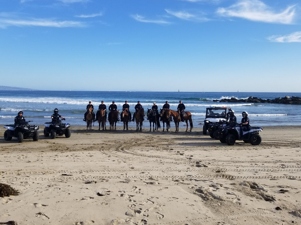 LAPD MOUNTED PLATOON tweet media