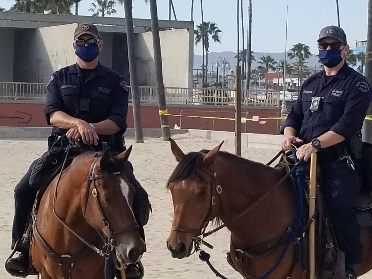 LAPD MOUNTED PLATOON tweet media
