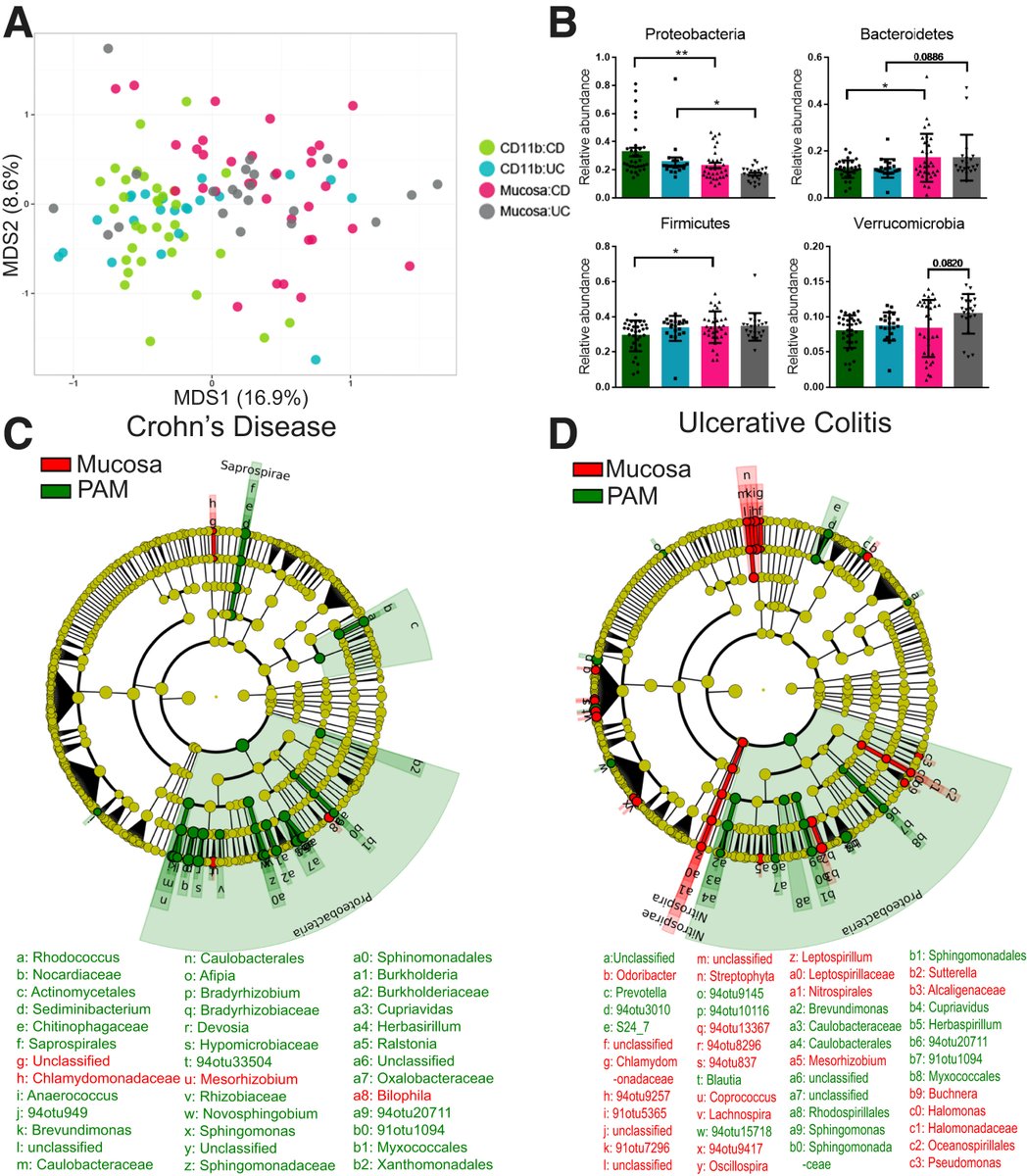 Gastroenterology Pilot Study Shows The Feasibility Of Using Lamina Propria Phagocytes To Characterize The Microbiota In Ibd Patients T Co 2jrzyht07u T Co Uqf7nzw6hp