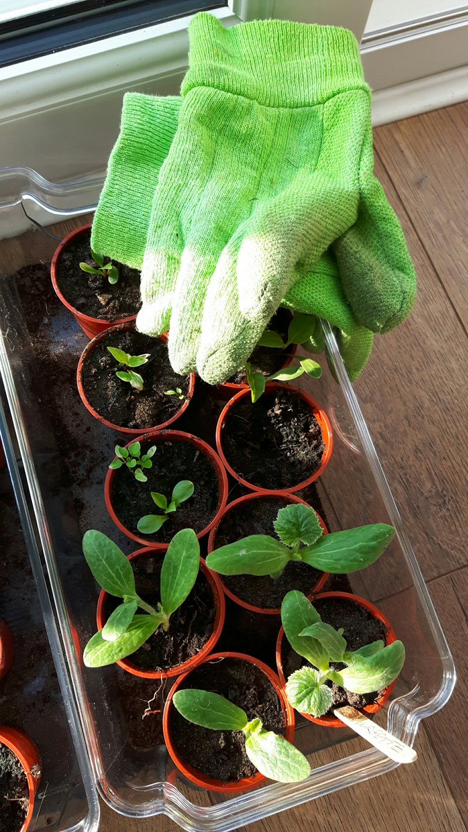 Day 5/7...I think....lost track of the days!!! #mylifeinpictures challenged by <a href="/jeanette_cairns/">Jeanette Cairns</a>