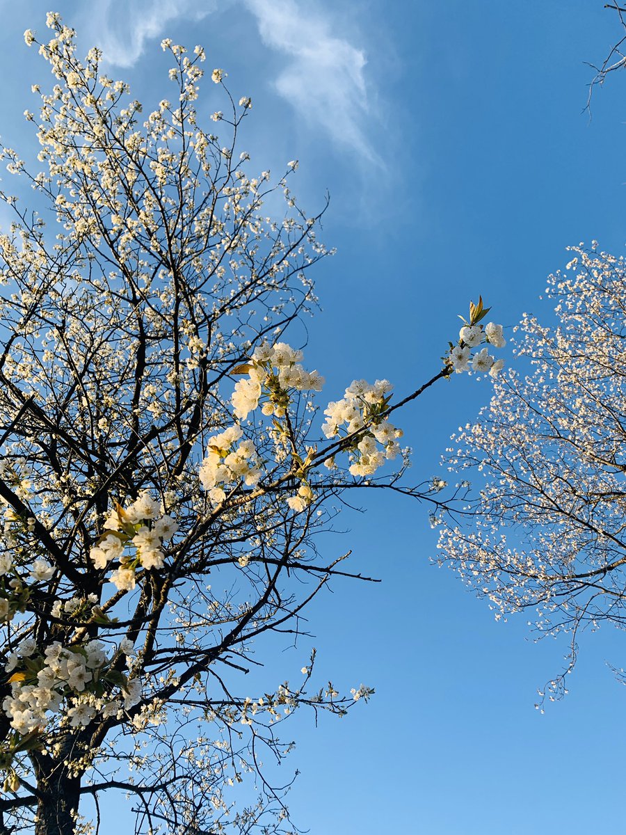 Özge Atay (@ozgeatayy) on Twitter photo 