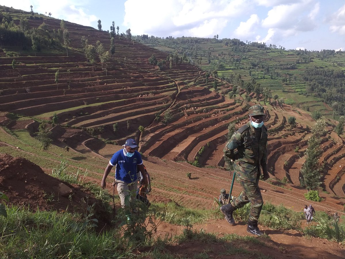 Abaturage ba <a href="/CyumbaS/">CYUMBA SECTOR</a> in <a href="/GicumbiDistrict/">Gicumbi District</a> baravuga imyato Imiyoborere myiza ya HE <a href="/PaulKagame/">Paul Kagame</a> , nyuma yo kubaha radical  terraces 50ha,  bahawe n'imbuto y'ibirayi ngo bahinge bihaze mu biribwa. <a href="/gatjmv/">Gatabazi Jean Marie Vianney</a> <a href="/FNdaymbaje/">Felix Ndaymbaje</a> <a href="/RwandaLocalGov/">Ministry of Local Government | Rwanda</a> <a href="/RwandaAgri/">Ministry of Agriculture & Animal Resources |Rwanda</a> <a href="/UrugwiroVillage/">Presidency | Rwanda</a> <a href="/PrimatureRwanda/">Office of the PM | Rwanda</a>