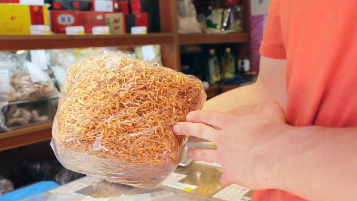FungiAlly's tweet photo. What is Cordyceps? A #Mushroom Gaining Popularity in the US. Learn more about #cordyceps now: https://t.co/dT0kNh2Hxb
#cordycepsmushrooms #fungi #mushrooms https://t.co/0ISprnJre2