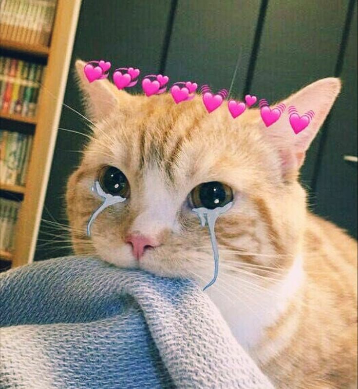aunnnaim's tweet photo. @samsokx97 พยาไยวห https://t.co/LeFEUyh4GC