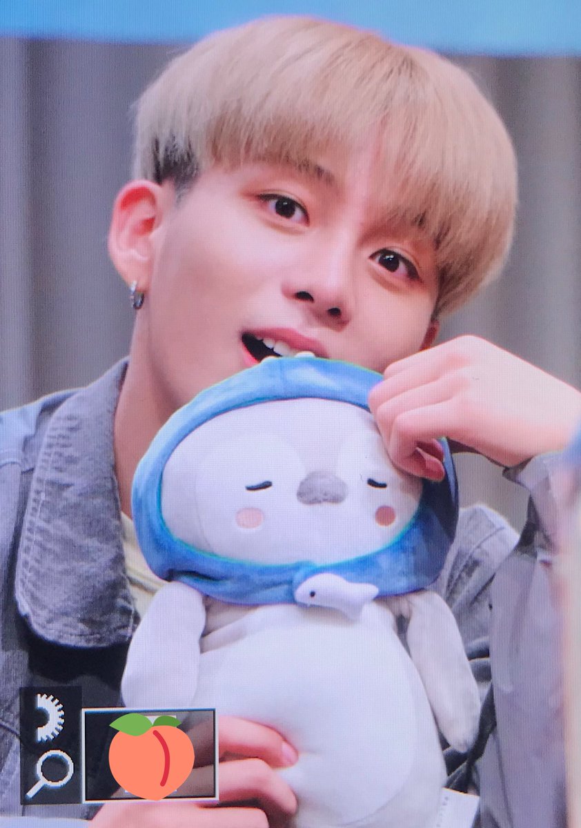 jongho with plushies, do not open thread if you have a weak spot for jongho