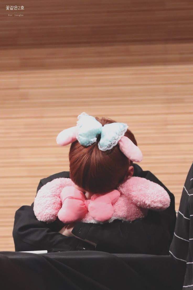 jongho with plushies, do not open thread if you have a weak spot for jongho