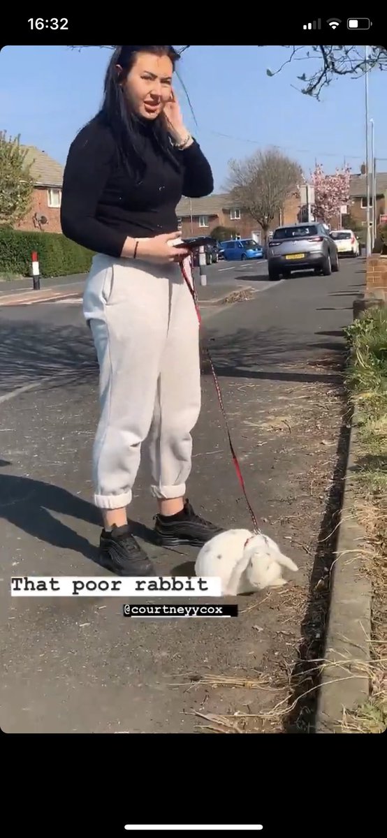 HarryBrodie10's tweet photo. Look at this absolute moron walking a rabbit😂😂 @CourtneyCox24 https://t.co/gMl1Z30xTo