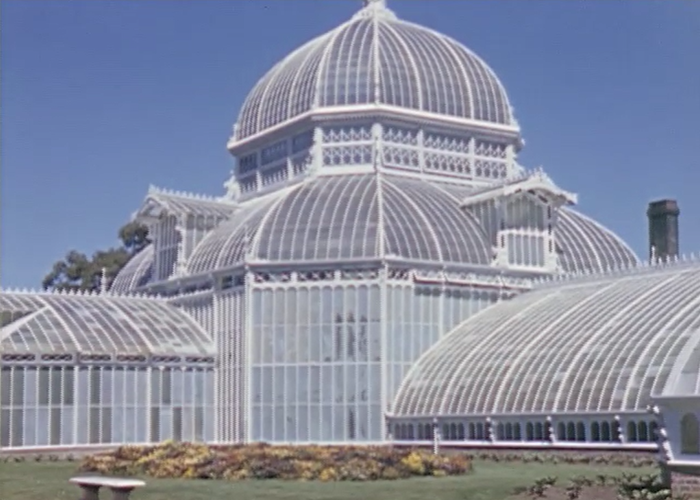 Some of the best imagery captured of Golden Gate Park over the last century+ was filmed by amateurs highlighting the park's intrinsic beauty, not using it as a backdrop for narrative. Examples abound at the  @internetarchive; I love this 1942 color footage.  https://archive.org/details/HM_Golden_Gate_Park_San_Francisco_June_1942