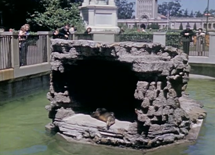 Some of the best imagery captured of Golden Gate Park over the last century+ was filmed by amateurs highlighting the park's intrinsic beauty, not using it as a backdrop for narrative. Examples abound at the  @internetarchive; I love this 1942 color footage.  https://archive.org/details/HM_Golden_Gate_Park_San_Francisco_June_1942