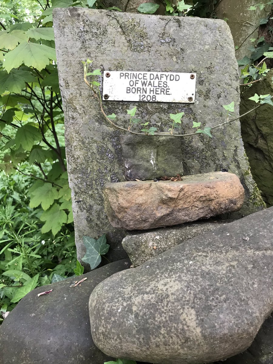rachelhughest's tweet image. After reading a chance comment on a local Facebook forum, a walk to the next door farm led us to this, hidden in a wood. And not even my dad knew it was there! #verylocalhistory #DailyExercise #homeschoolproject #flintshire