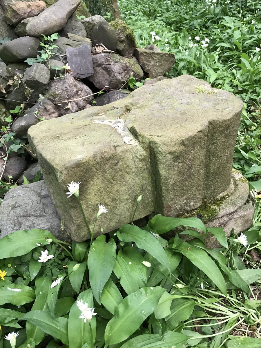 rachelhughest's tweet image. After reading a chance comment on a local Facebook forum, a walk to the next door farm led us to this, hidden in a wood. And not even my dad knew it was there! #verylocalhistory #DailyExercise #homeschoolproject #flintshire