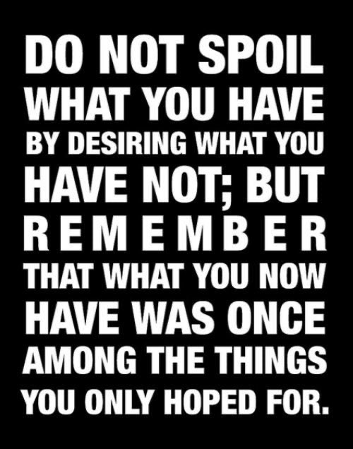 Stephanos_Io's tweet photo. I always water my flowers as not all clouds bear rain. #trustgod #trustthepath #trustoneself #truth #love https://t.co/IQPQcpyu06
