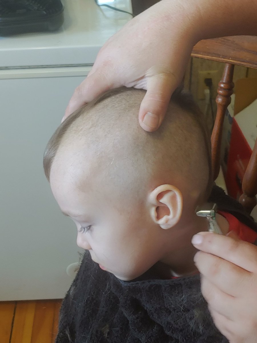 MaggotDozer's tweet photo. HAIRCUT DAY! #QuarantineLife #CaronaCut #MiniDozer #dadlife #MohawkChallenge https://t.co/Dqfuw1WYJW