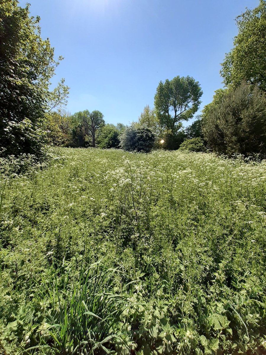 pixi_ink's tweet photo. Actually got dressed and went on an adventure across the street today(awaiting my awardπ) - its amazing the beauty you can find on your doorstep when theres time to look around πΊππ¦ .
.
.
#earthweek #earthbae #wetlands #nature #naturephotography #weekend #lockdown2020 https://t.co/9n5L679sAs
