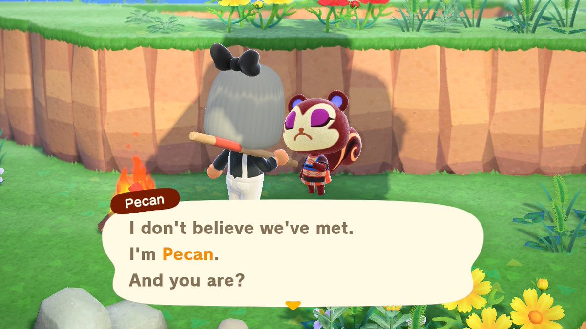 21 & 22) Pecan and Sylvana, both very cute but they’re nor dreamies